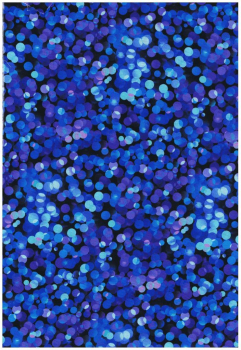 Butterfly magic navy